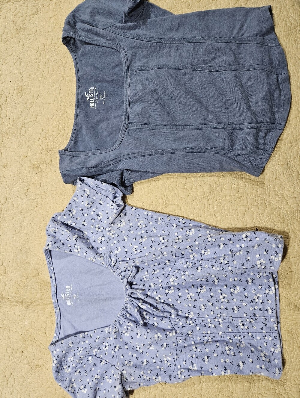 Hollister Light Blue Floral Crop Top & Hollister Steel Blue Crop Top - Set of 2